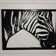 1674429107745.jpg Zebra 2d