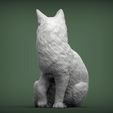 cat-looks-back6.jpg Cat for 3d printing