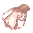 model-4.png Wolf skull low poly