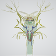 BRAIN-STEM-WITH-CRANIAL-NERVES-AND-NUCLEI-1.png 32-part Brainstem & Midbrain 3D Model with Full Cranial Nerves and Nuclei