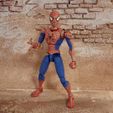 IMG_20230530_134146_792.jpg Spider-Man: Friend or Foe Complete Action Figure