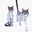 portada-CAT2.png CAT - DOWNLOAD CAT 3d model - animated for blender-fbx-unity-maya-unreal-c4d-3ds max - 3D printing CAT CAT - POKÉMON - FELINE - LION - TIGER