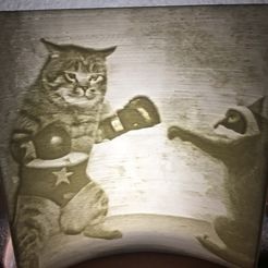IMG_8211.jpg Fichier STL gratuit Lithophane d'un chat combattant un raton laveur・Idée pour impression 3D à télécharger