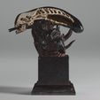 a4.jpg Alien Bust