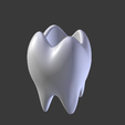 diente molar.PNG DENTAL VASE MOLAR POT