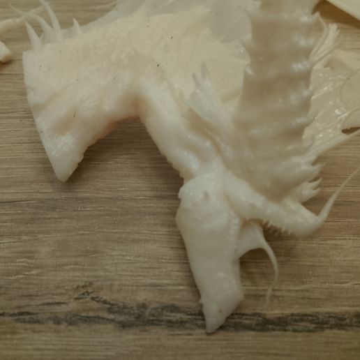 TETE DE DRAGON EXCLUSIVE LAUNCH OFFER 3D model