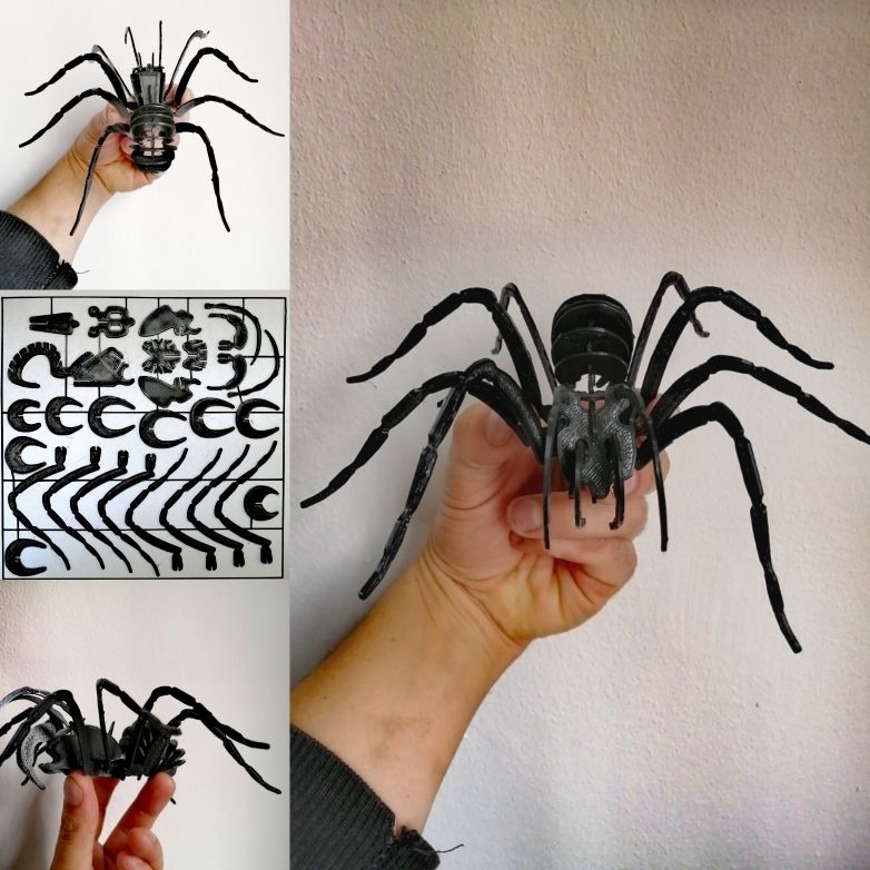 STL file Spider to assemble・3D printable model to download・Cults