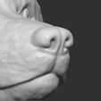 26.jpg Doge meme Shiba Inu head for 3D printing