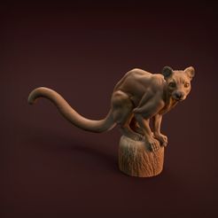 Fossa_1.jpg Archivo 3D Fossa・Design para impresora 3D para descargar