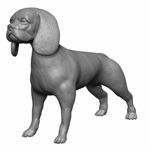 dog-10.jpg Gift for dog lovers