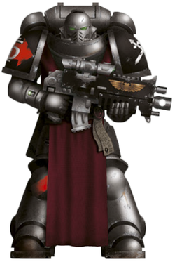 Thumb.png Emperor's Warbringers & Guardians of the Covenant Space Marine Icon Moulded 'Hard Transfer'