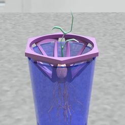 germinador de aguacates.jpg STL-Datei Large Fruit Seed Sprouter kostenlos herunterladen • 3D-Druck-Vorlage, dantejimenez