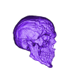 skull_fdm_100mm.stl Horror Skull