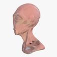 Alien-3.jpg Alien head low poly