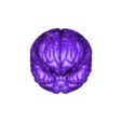 Brain.obj Human Brain Structure ( Educational Prints )