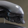 002.jpg Alien Head