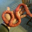20170327_152239.jpg Hermie, the GIANT worm! (fully-articulated)