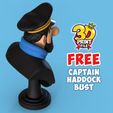 9.jpg captain haddock