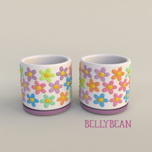 Hello Flowers - Decorative Succulent Planters II