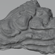 oyster-shell-vol.-8-image-5.png Oyster Shell Vol. 8 – High-Detail 3D Printable Model (STL, OBJ, 3MF)