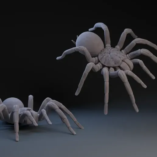 tarantula.webp 🕷️ Tarantula – Realistic 3D Printable Spider Model