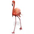 A1.jpg DOWNLOAD Flamingo 3D MODEL ANIMATED - BLENDER - 3DS MAX - CINEMA 4D - FBX - MAYA - UNITY - UNREAL - OBJ -  Flamingo DINOSAUR DINOSAUR Flamingo DINOSAUR BIRD