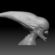 3.jpg Neomorph 3d print ready Bust