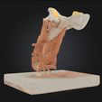 5.jpg 3D Model of Cervical Spine with Muscles and Ligaments