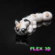 Cat-Chunky-7.jpg Flex 3D Kitty Chunky