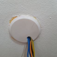 20240510_135225.jpg Lid with outlet for cavity wall box