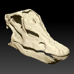 4545.jpg DIPLODOCUS