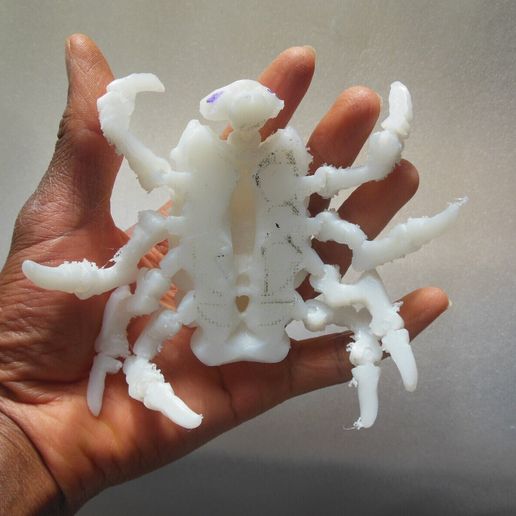 🖨️ Articulated Predominant Print-In_Place Isopod BJD Kit FDM 3D Printer ...