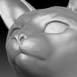 17.jpg Siamese Cat head for 3D printing