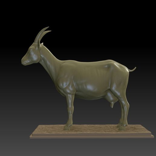 2.jpg Ziege 3D Modell