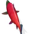 10.jpg SALMON - Fish 3D MODEL - Coral Fish Goby