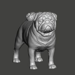 1.jpg STL file Pug・3D print model to download