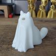 20221005_164238.jpg Gato fantasma / жуткий кот