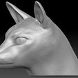 11.jpg Siamese Cat head for 3D printing