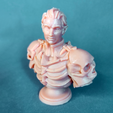 Eu-Printed-bust.png Eurshin, a dramatic half-orc - bust [presupported]