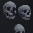 черепа-3png.png Damaged skulls 2