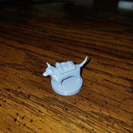 20181128_211136.jpg Corgi-Abenteurer