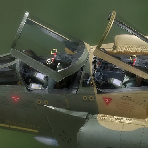 f11.jpg F4 Phantom 2 Forest - With Cockpit - Fully Rigged - High Resolution Textures