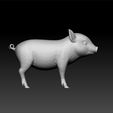 mi_pig2.jpg Pig -Cute pig - realistiv pig - pig 3d model