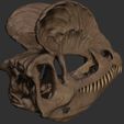 ZBrush-Document6.jpg Dilophosaurus Skull