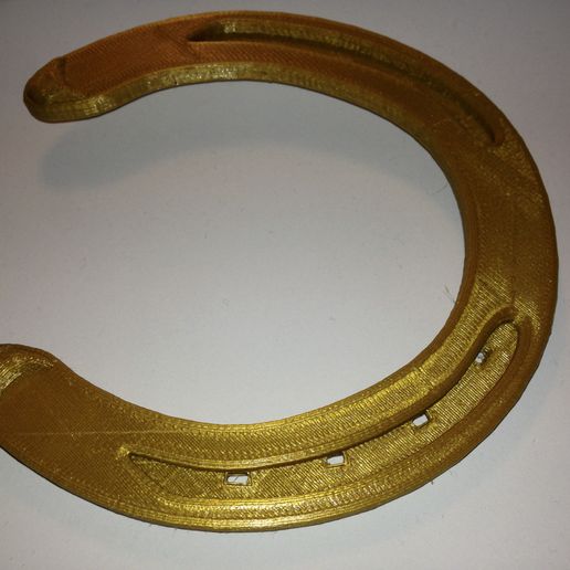 IMG_2615.jpg Horse shoe