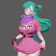 10.jpg BULMA SEXY GIRL DRAGONBALL ANIME ANIMATION 3D PRINT