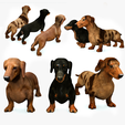 portada3-DOG.png DOG - DOWNLOAD Dachshund 3d model - Dog animated for blender-fbx-unity-maya-unreal-c4d-3ds max - 3D printing Dachshund DOG SAUSAGE - SAUSAGE PET CANINE WOLF