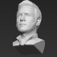 23.jpg Star-Lord Chris Pratt bust 3D printing ready stl obj formats
