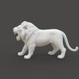 Lion_1.2.jpg Growling Lion
