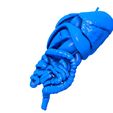 ieauieuieauieueauu.jpg Internal Organs / Human  Organs / Human Internal Organs